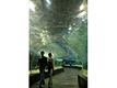 水族館オーシャンパーク＆市内観光ツアーならフィリピンのオプショナルツアー