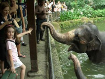 檻の無いオープンズー！わくわくランド動物園