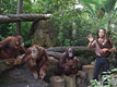 檻の無いオープンズー！わくわくランド動物園