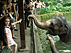 檻の無いオープンズー!わくわくランド動物園