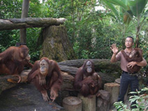 わくわくランド動物園（ヘルシーランチ付き）