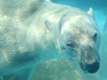 わくわくランド動物園（ヘルシーランチ付き）