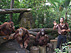わくわくランド動物園(ヘルシーランチ付き)