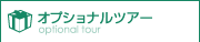 オプショナルツアー