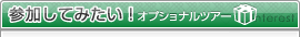 オプショナルツアーに参加してみたい！