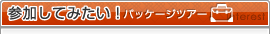 パッケージツアー参加してみたい！