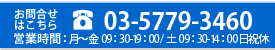 䤤碌TEL 03-5779-8556